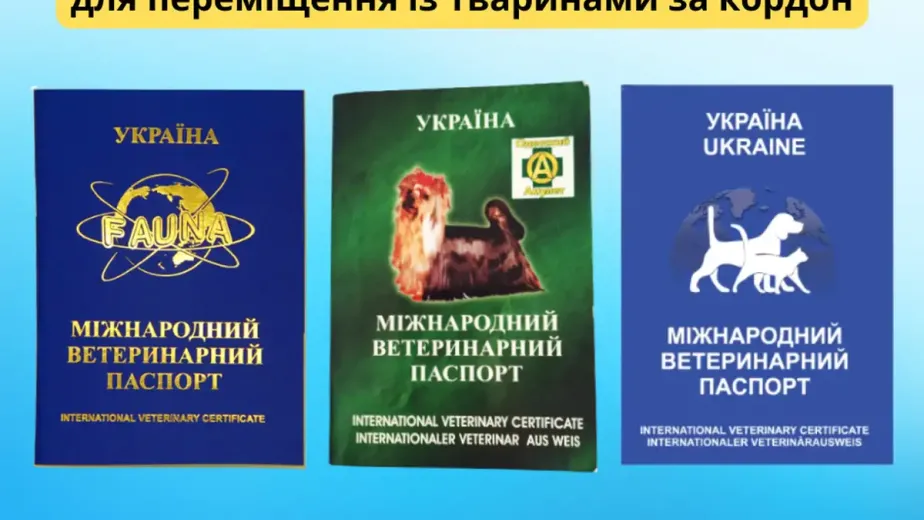 Адреси, за якими видають ветеринарні паспорти на тварин