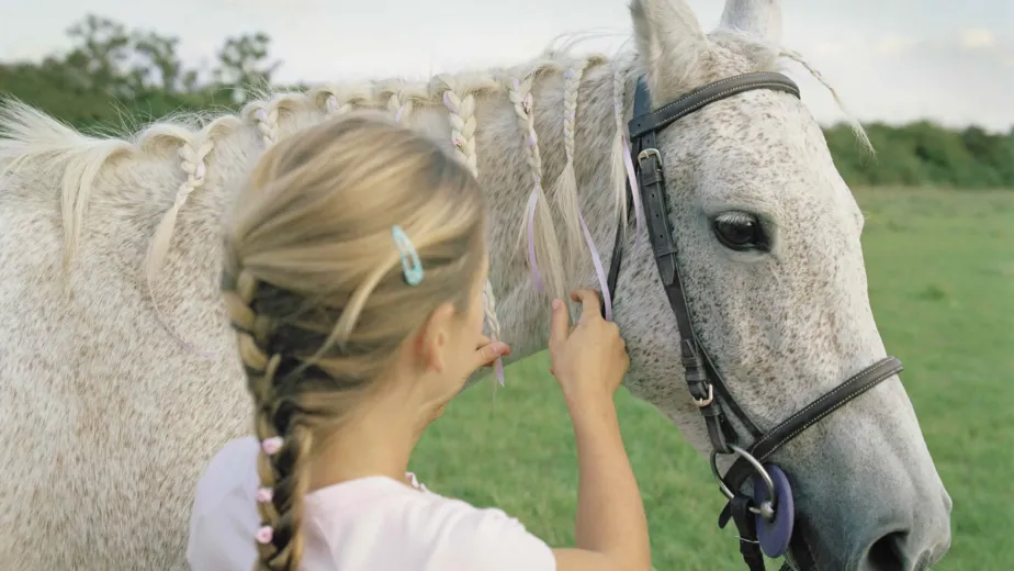 horse article 5798f942