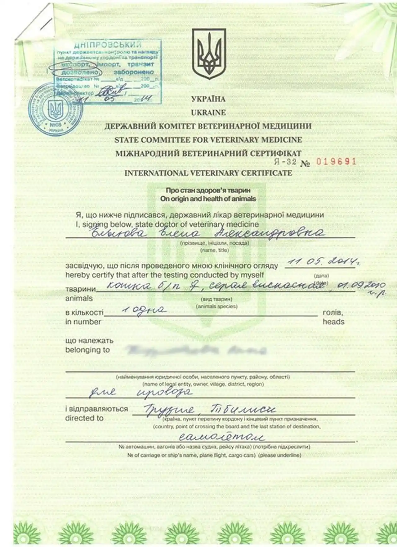 Міжнародний ветеринарний сертифікат у Києві: як отримати